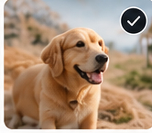 A dog outdoors, example photo