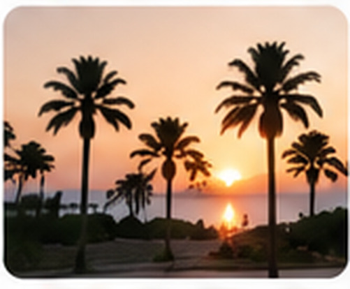 Tropical palms in an example photo